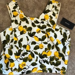 Zara Woman Lemon Citrus Sleeveless Cropped XS Top